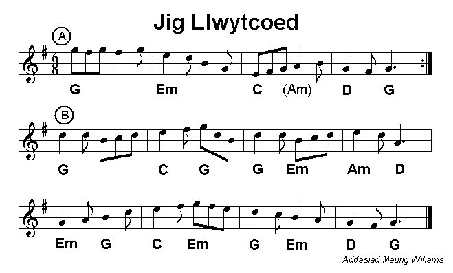 Jig Llwytcoed