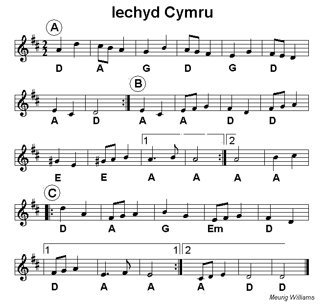Iechyd Cymru